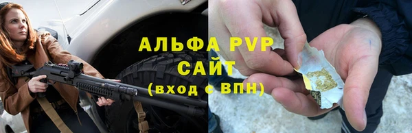 СК Алексин