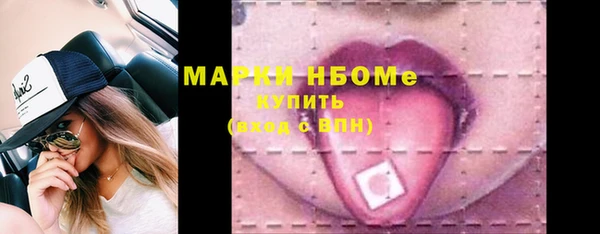 СК Алексин