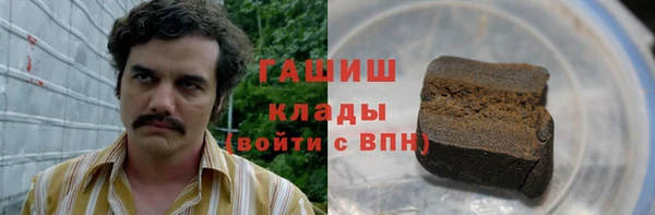 СК Алексин