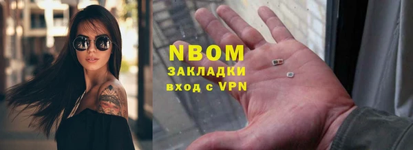 шишки Алзамай