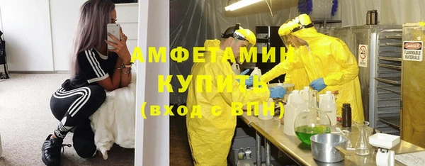 шишки Алзамай