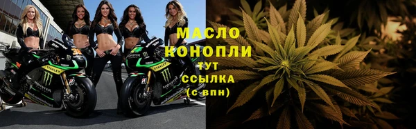 СК Алексин