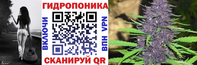 это какой сайт  Амурск  Канабис индика 